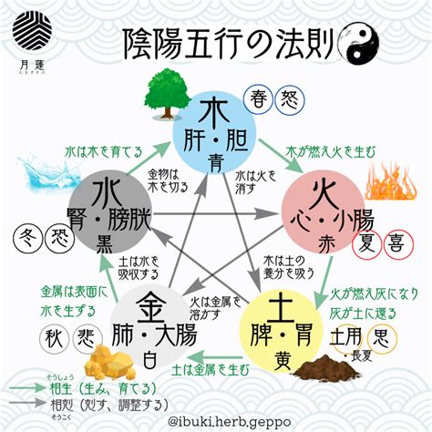 陰陽 五行|陰陽五行とは？その影響や太極図も解説